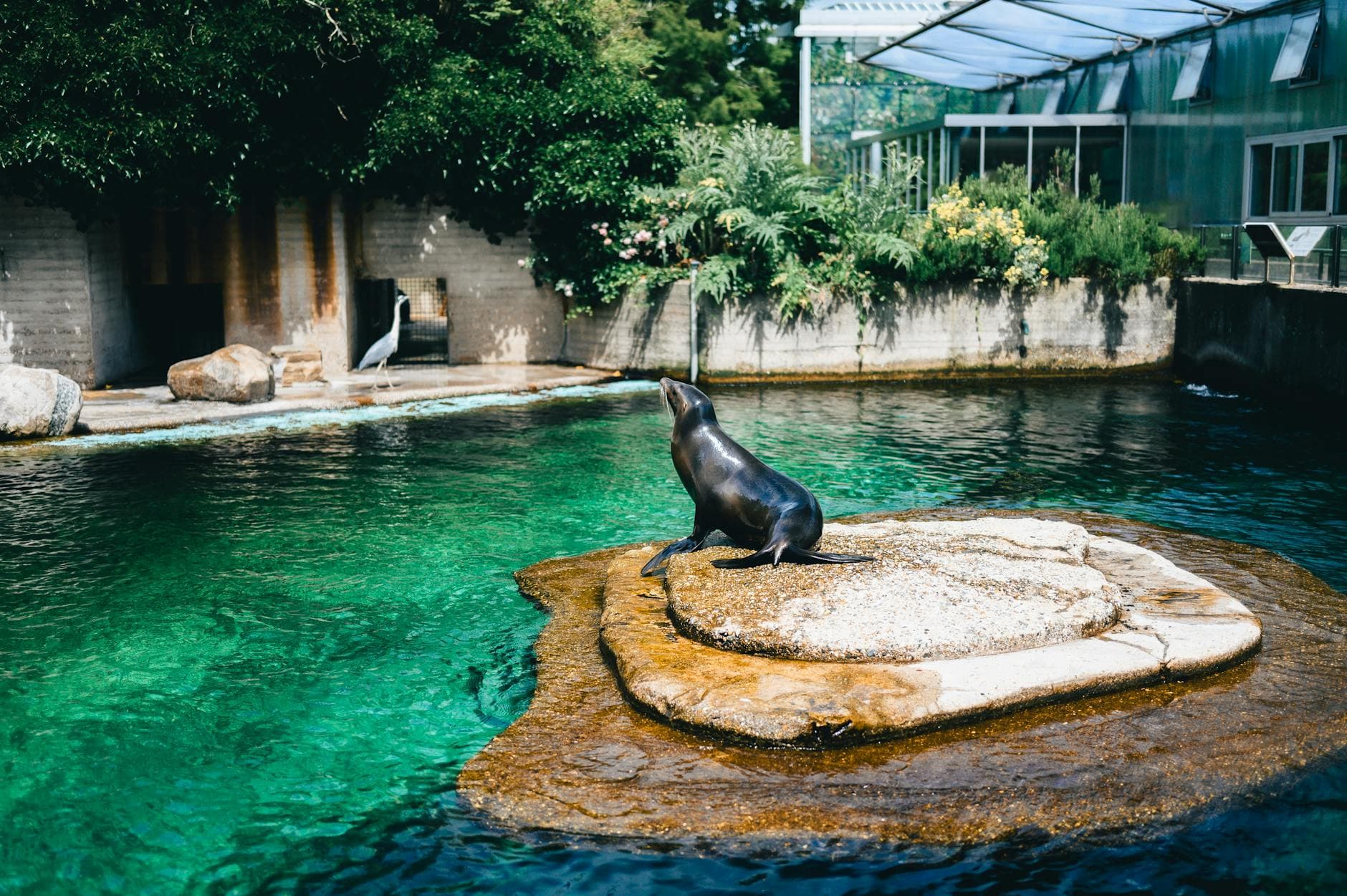 Point Defiance Park (zoo, aquarium, beaches)