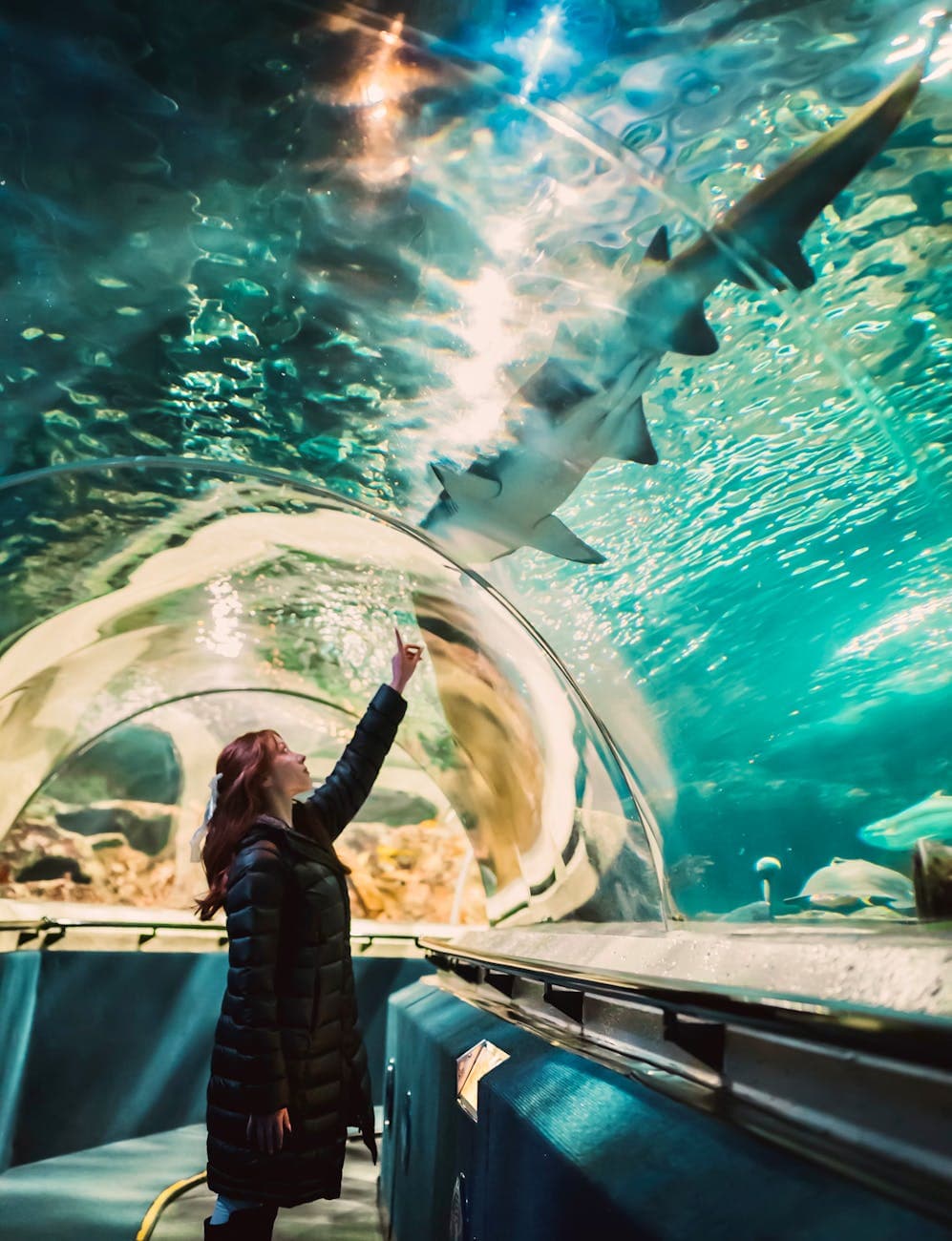 Point Defiance Park (zoo, aquarium, beaches)