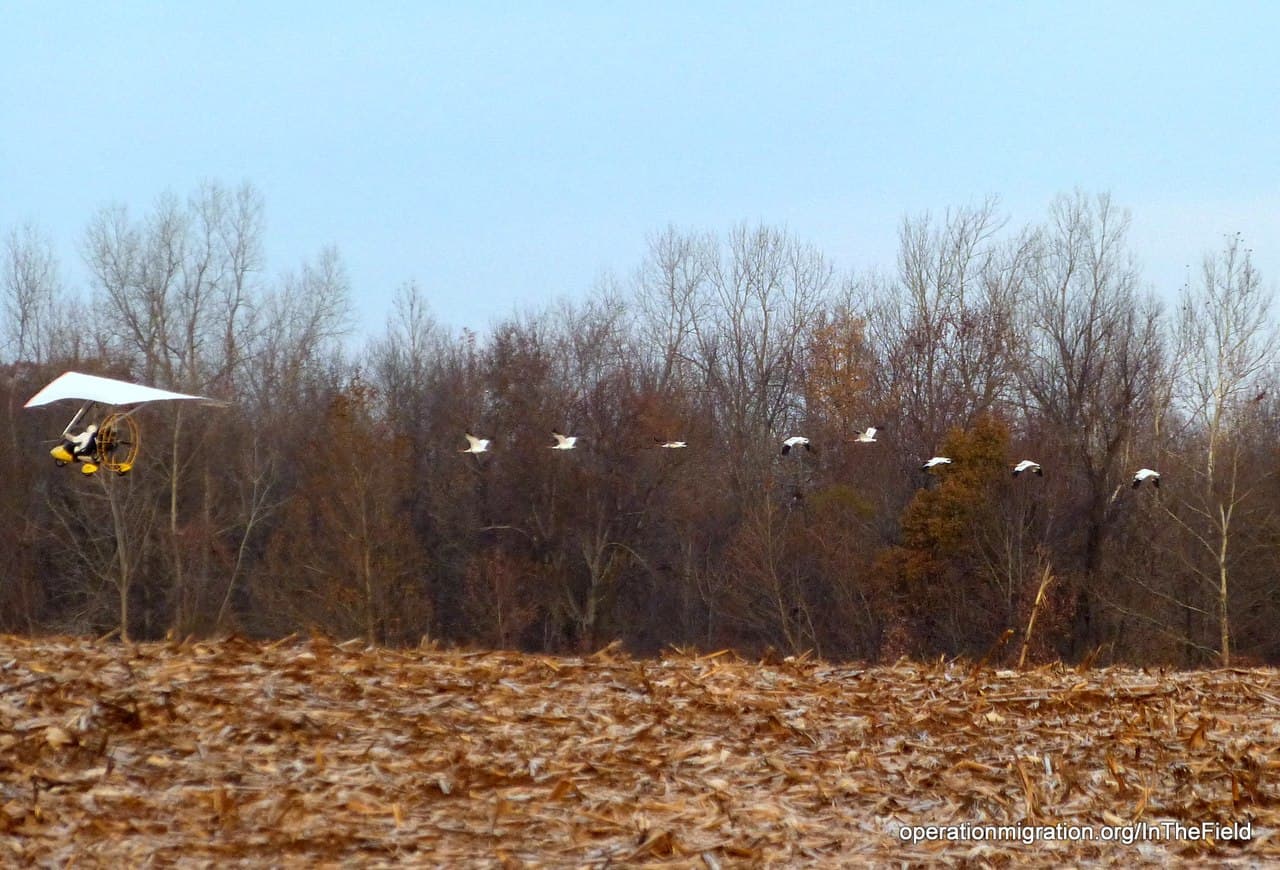 St. Marks NWR