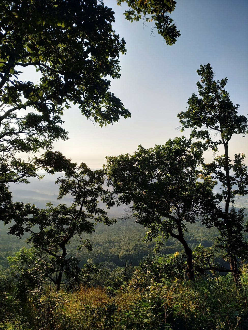 Monte Sano SP