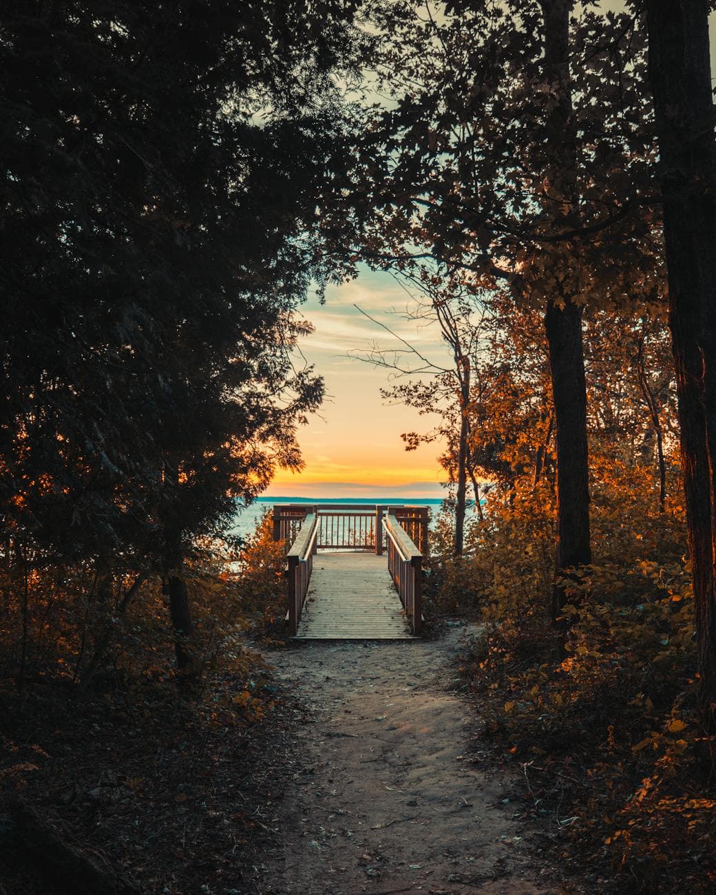 Trail 3 (Ladders)