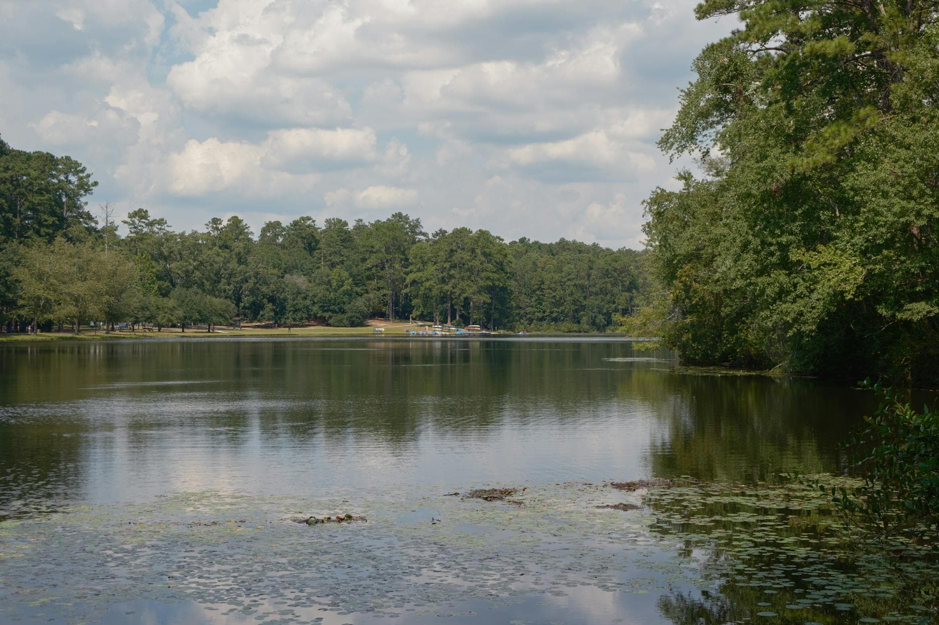 Still Water Days: A Family Weekend in the Uwharrie Lakes