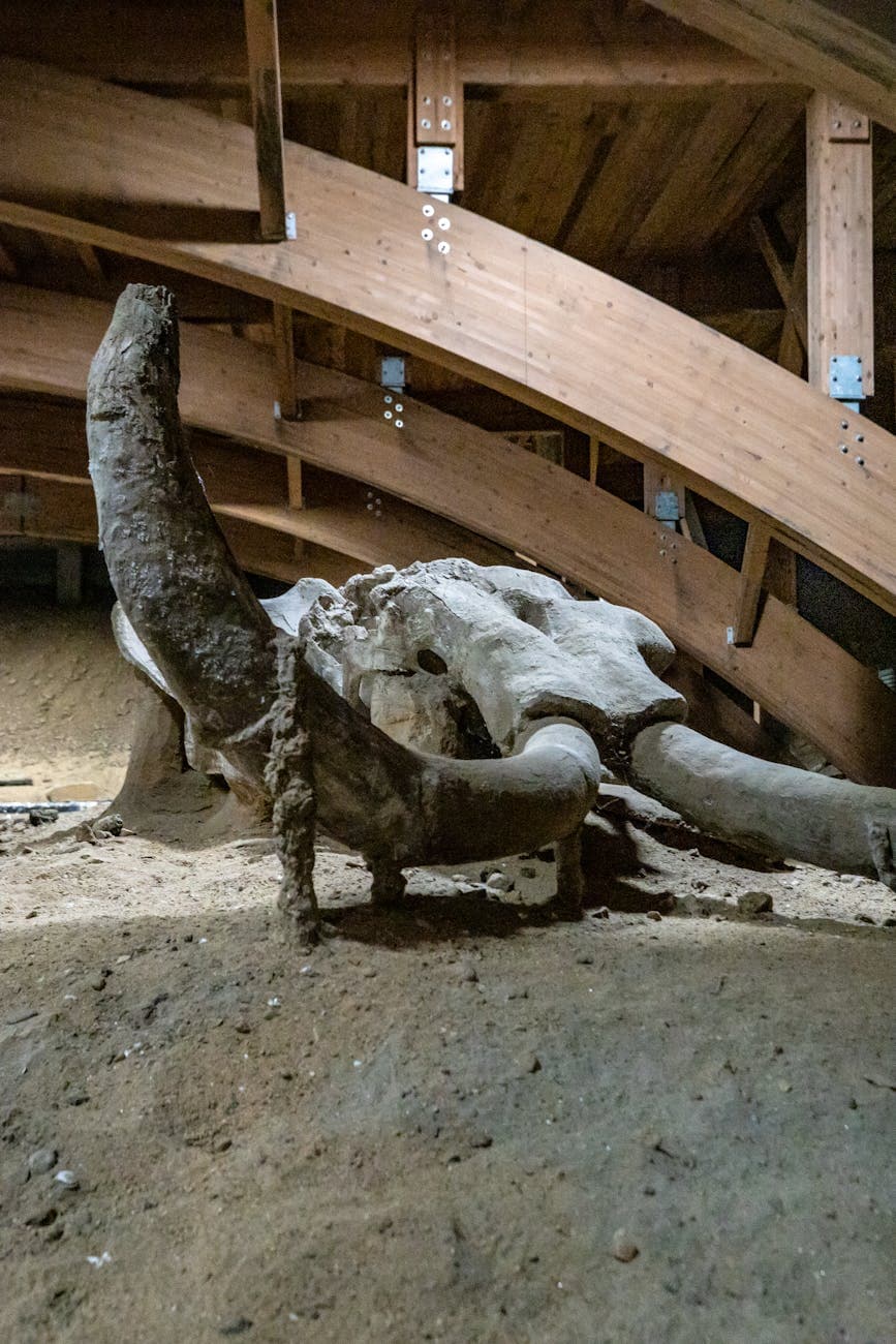 Mammoth Site
