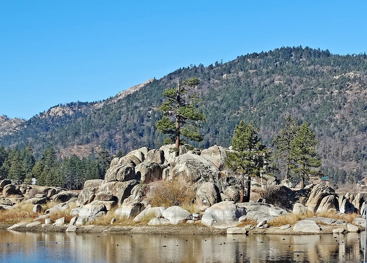 High Country Days: A Family Alpine Escape in Greer & Alpine