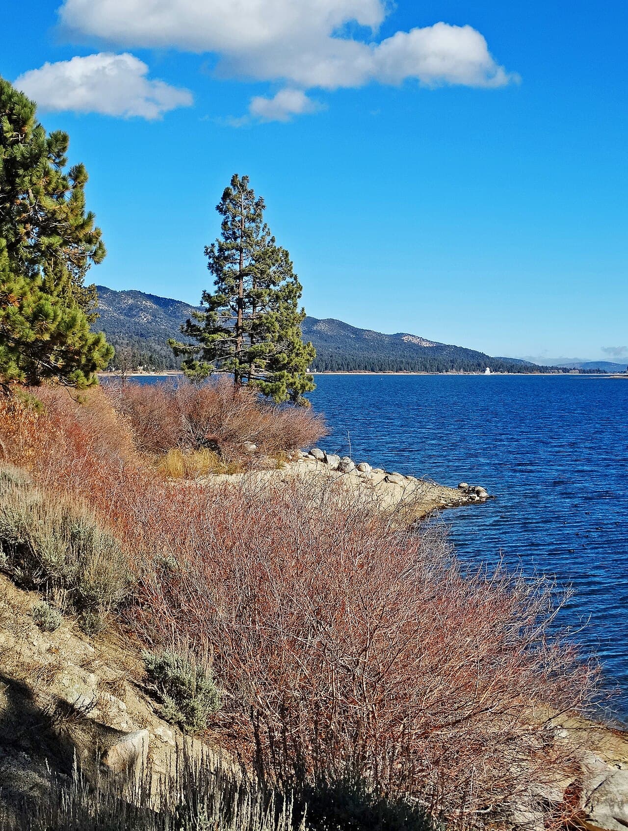 Big Lake