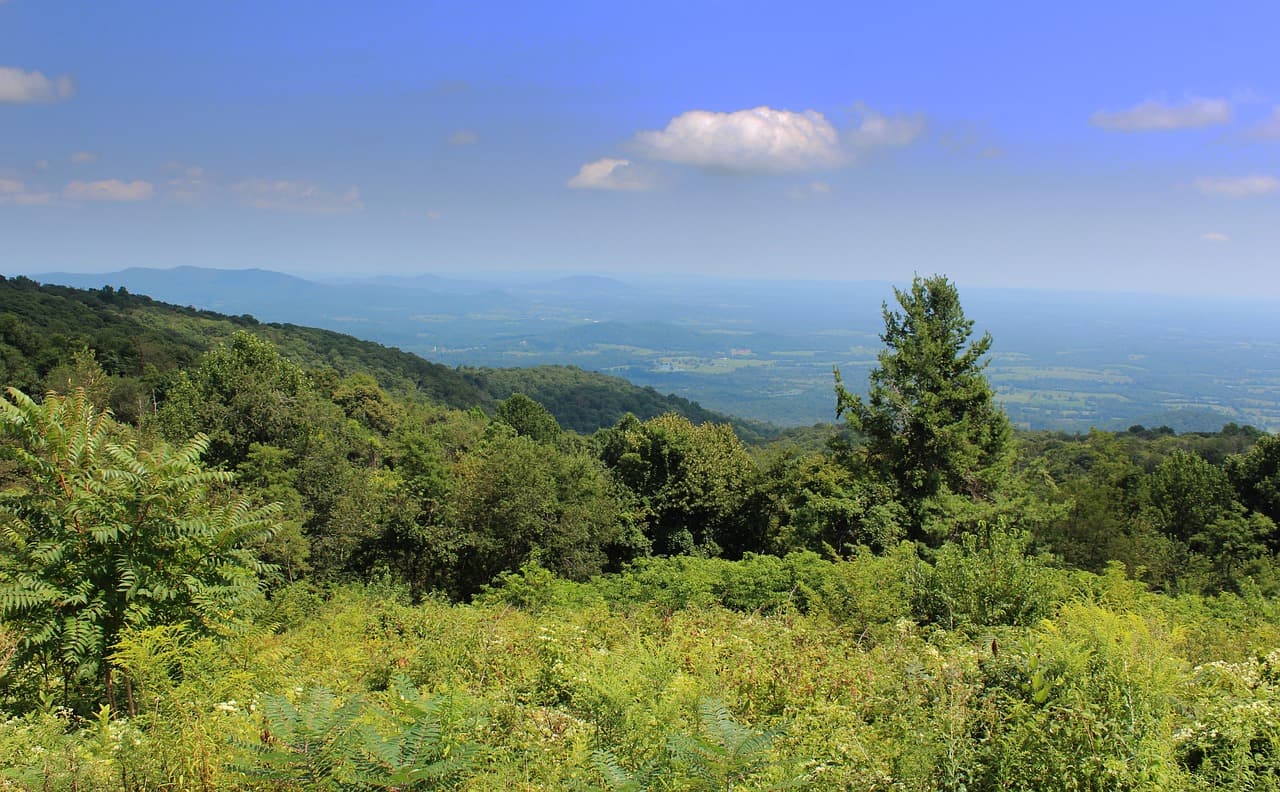 Skyline Drive Scenic Byway