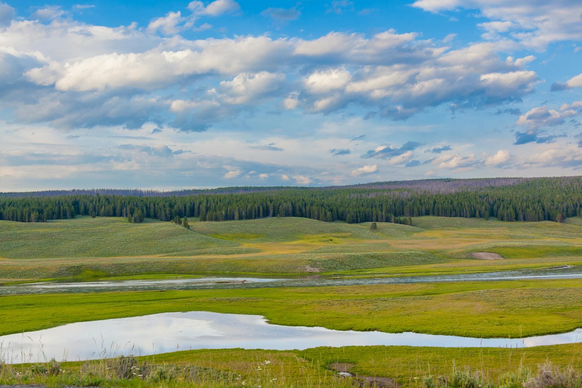 Hayden Valley