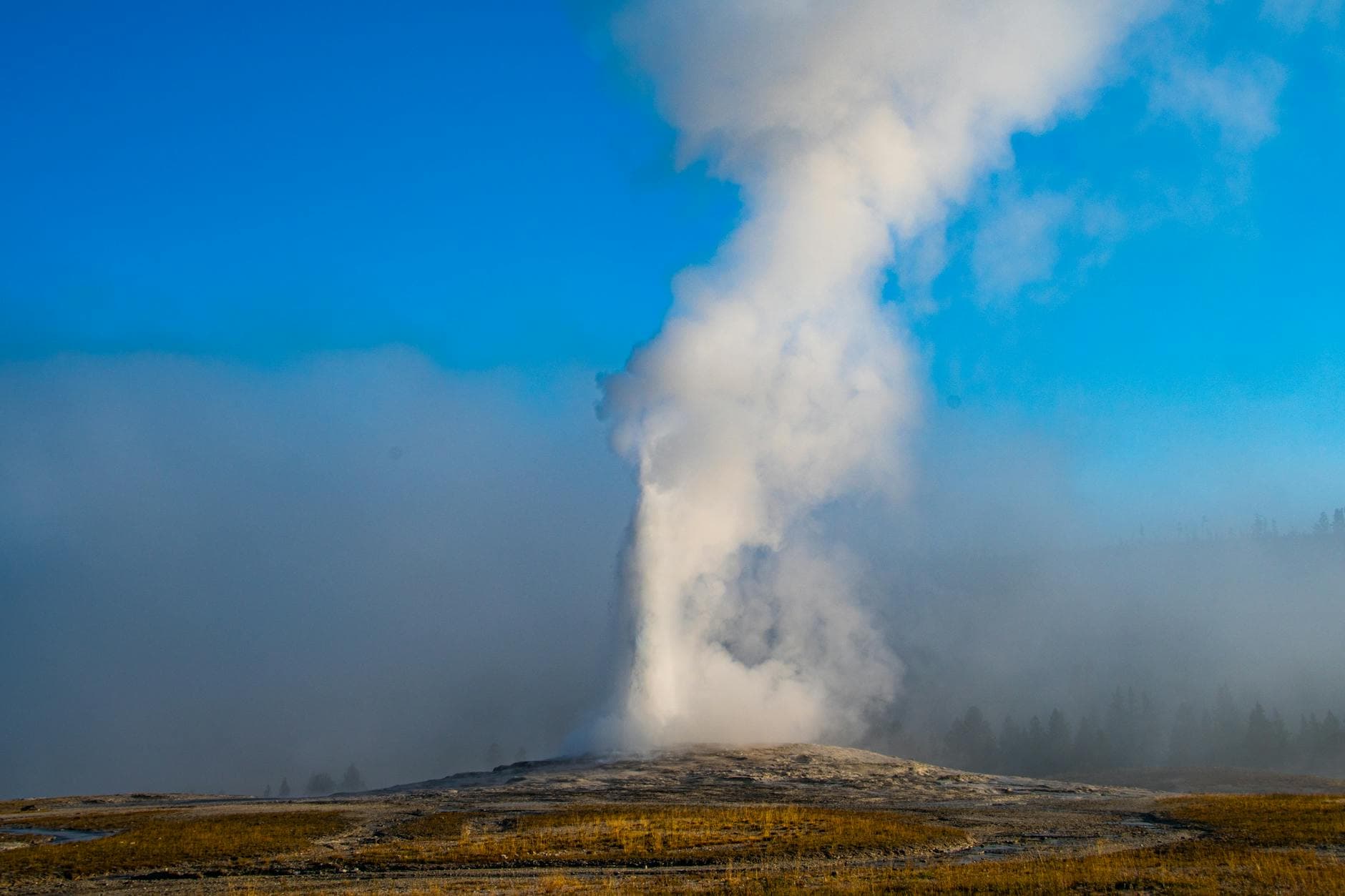 Old Faithful