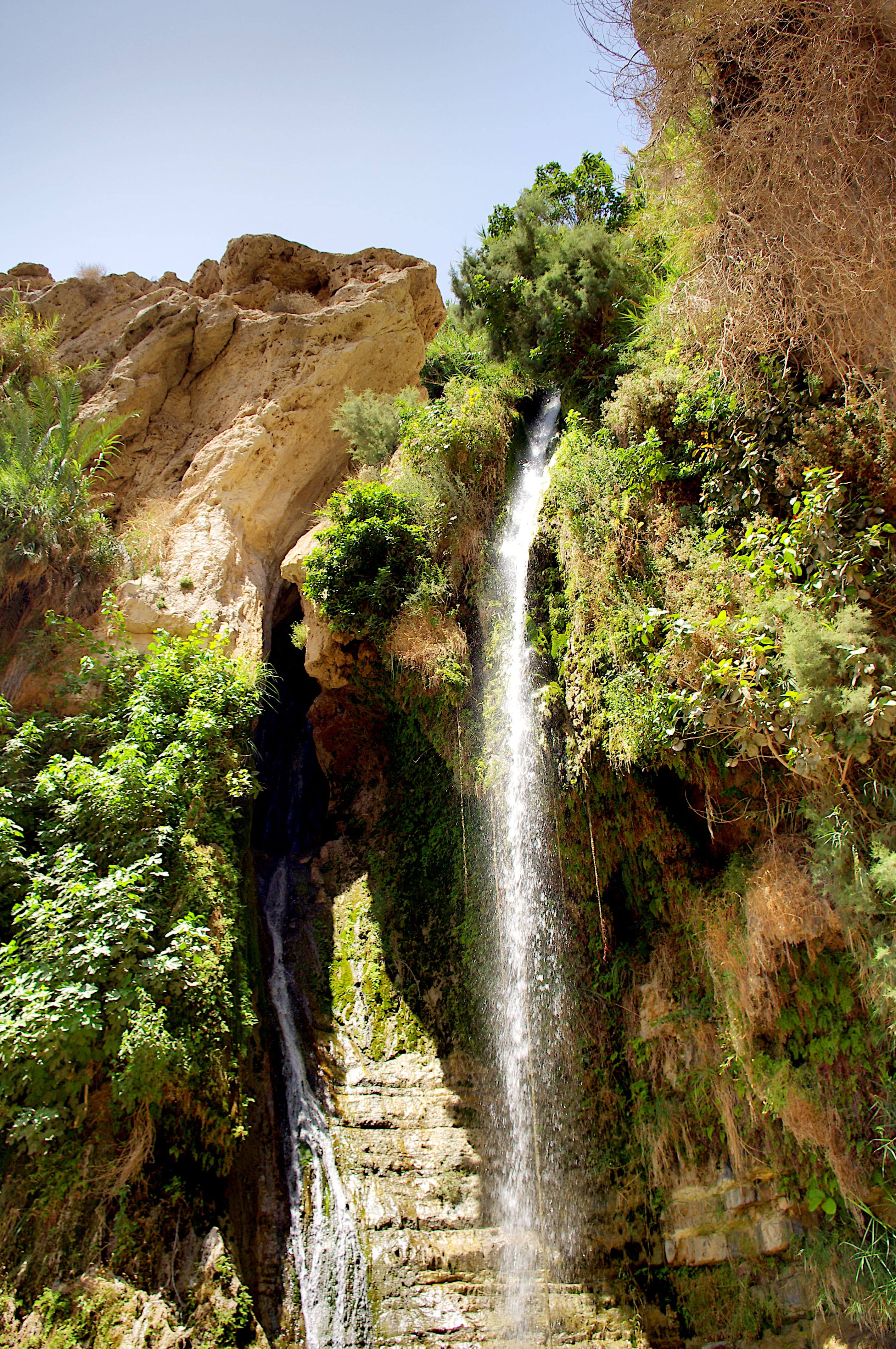 Salt, Silence, and Scrolls: A Day Along the Dead Sea